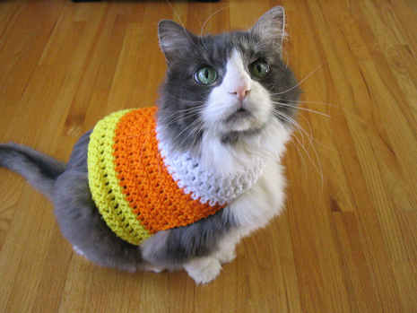 Handmade Crochet Candy Corn Cat Costume-animal Costume-halloween Costume